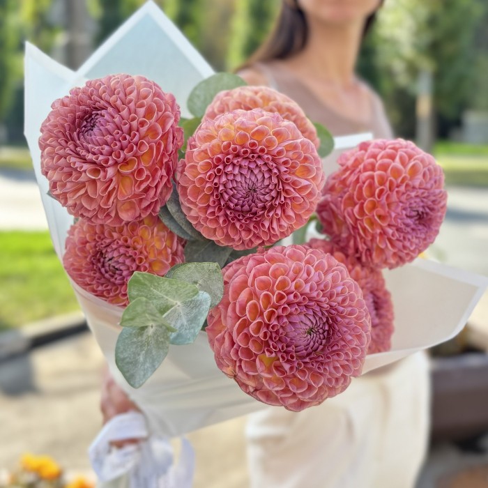 7 коричнево-желтых георгин Помпон