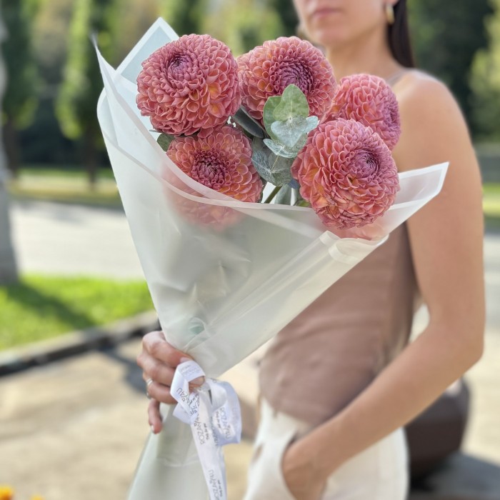 7 коричнево-желтых георгин Помпон