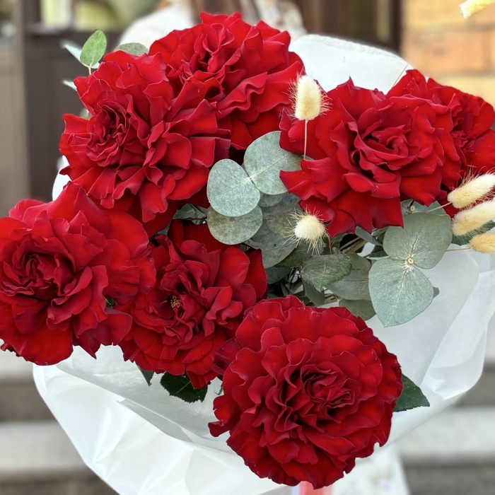 Мир французских роз и их утонченная эстетика  