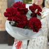 7 красных французских роз с эвкалиптом