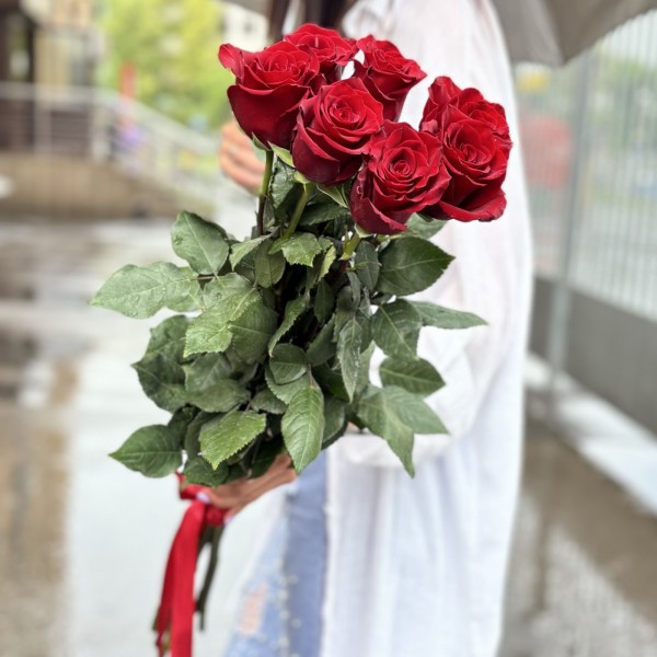 7 красных роз Эксплорер 80 см