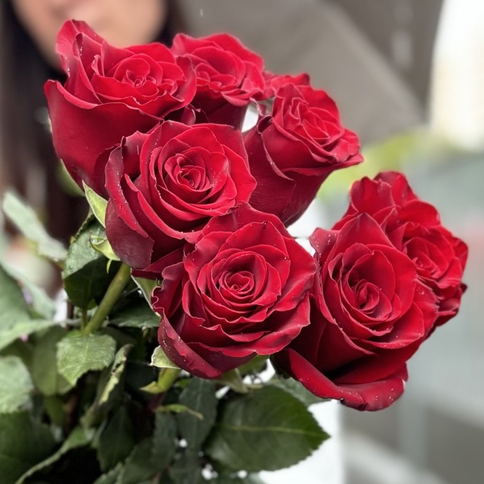 7 красных роз Эксплорер 80 см