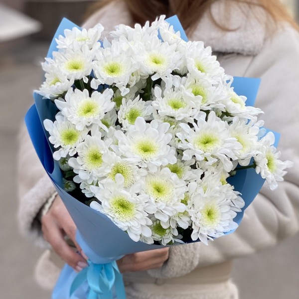 7 белых кустовых хризантем Коммандер