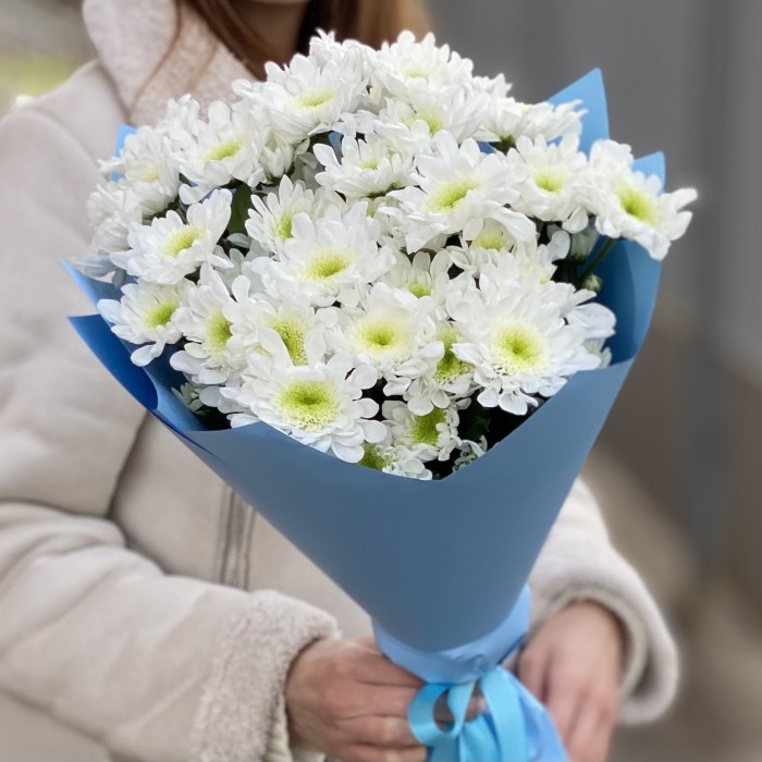 7 белых кустовых хризантем Коммандер