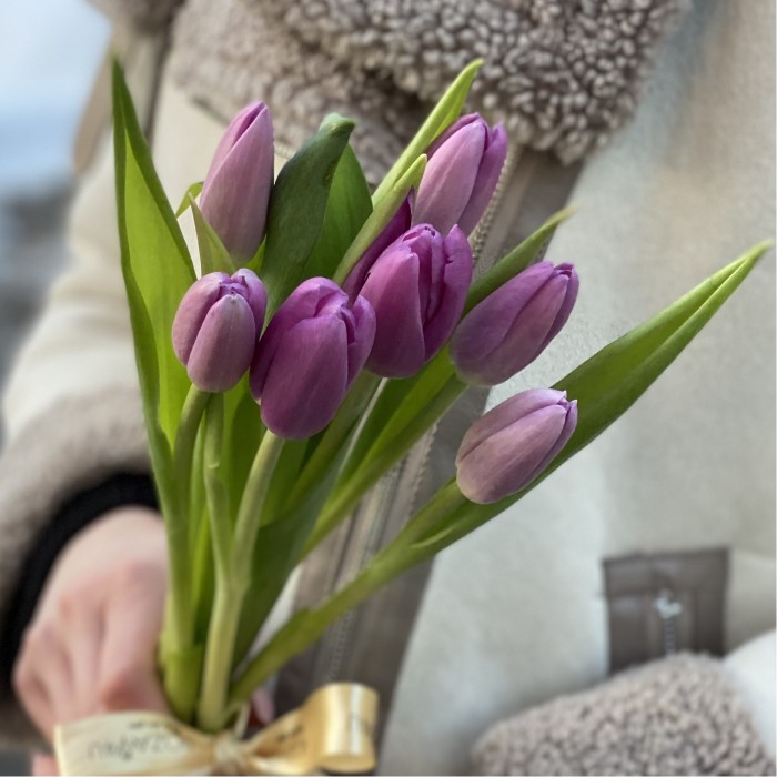 7 лиловых тюльпанов Шугр принц