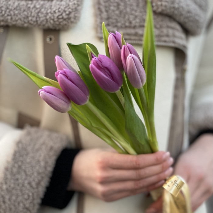 7 лиловых тюльпанов Шугр принц