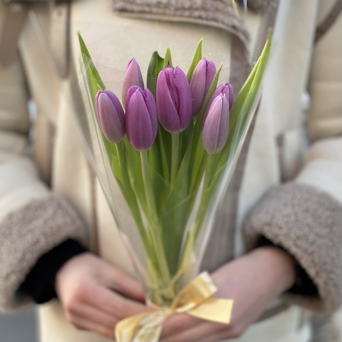 7 лиловых тюльпанов в пленке
