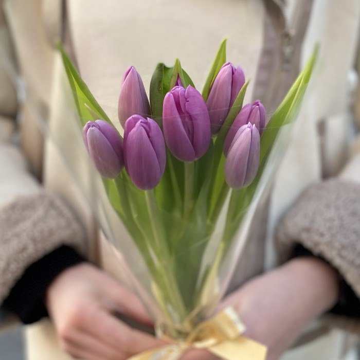 7 лиловых тюльпанов в пленке
