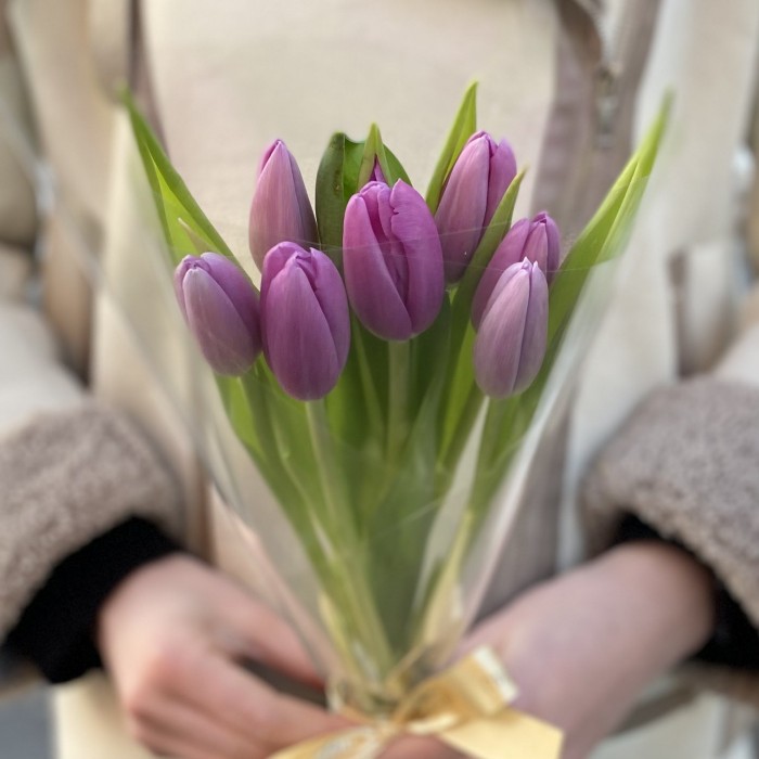 7 лиловых тюльпанов в пленке