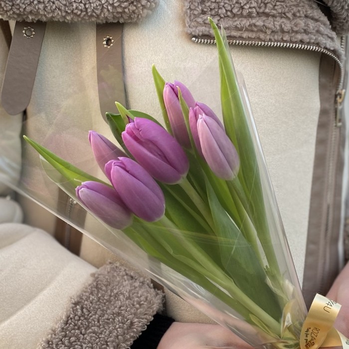 7 лиловых тюльпанов в пленке