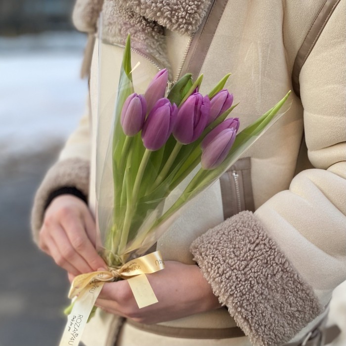 7 лиловых тюльпанов в пленке