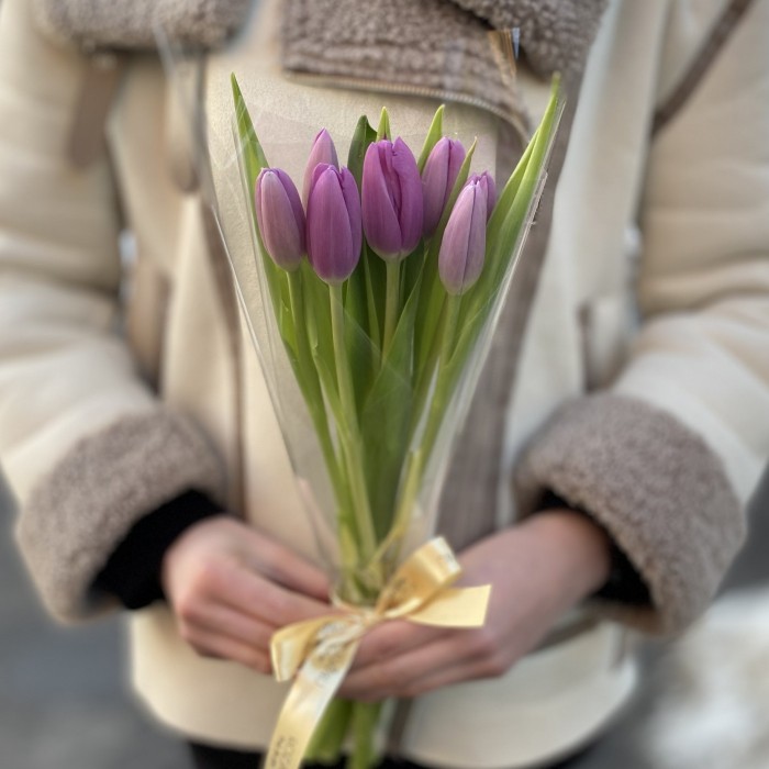 7 лиловых тюльпанов в пленке