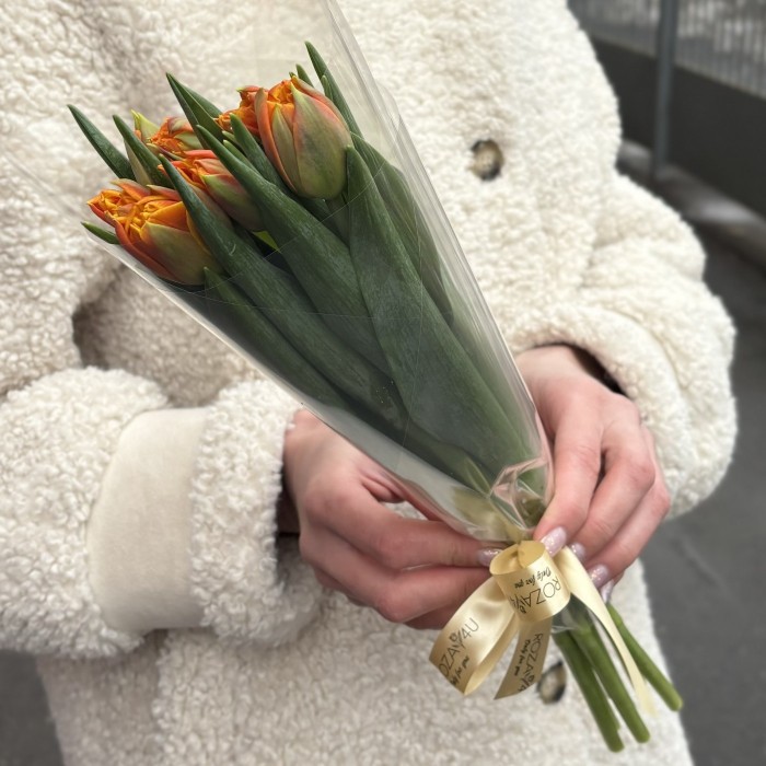 7 оранжевых тюльпанов Эрмитаж даб в пленке