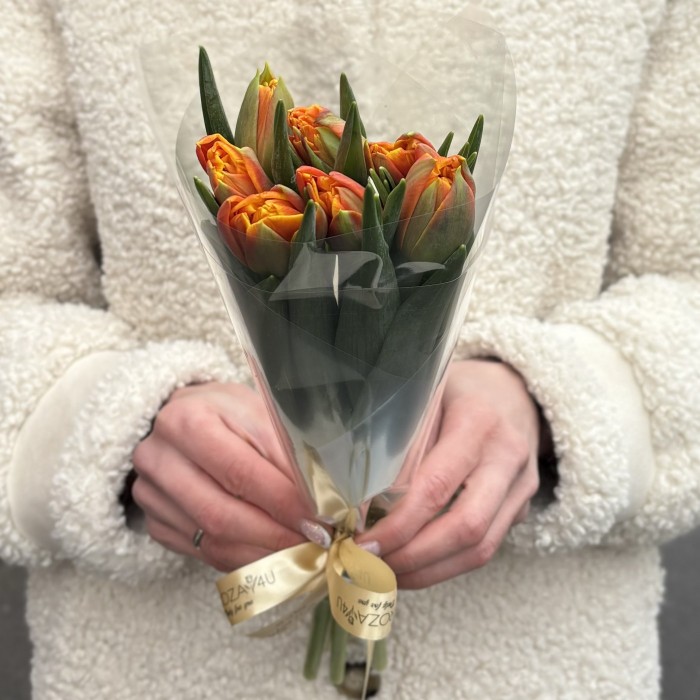 7 оранжевых тюльпанов Эрмитаж даб в пленке