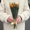 7 оранжевых тюльпанов Эрмитаж даб в пленке