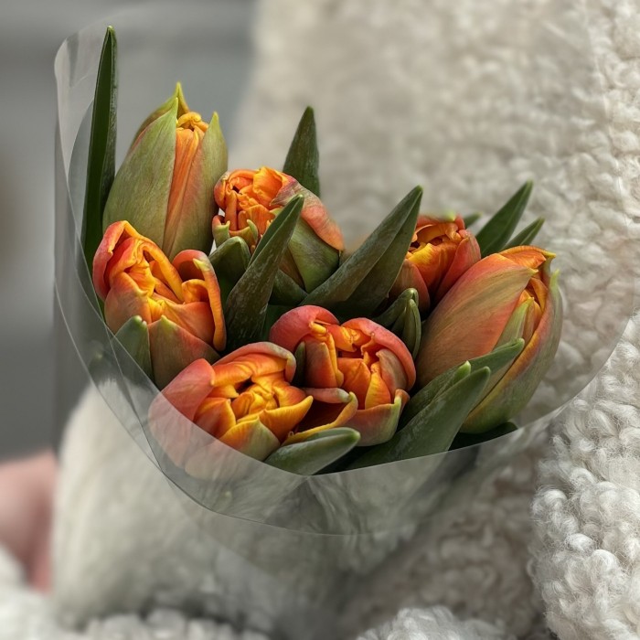 7 оранжевых тюльпанов Эрмитаж даб в пленке