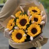 7 подсолнухов с лагурусом