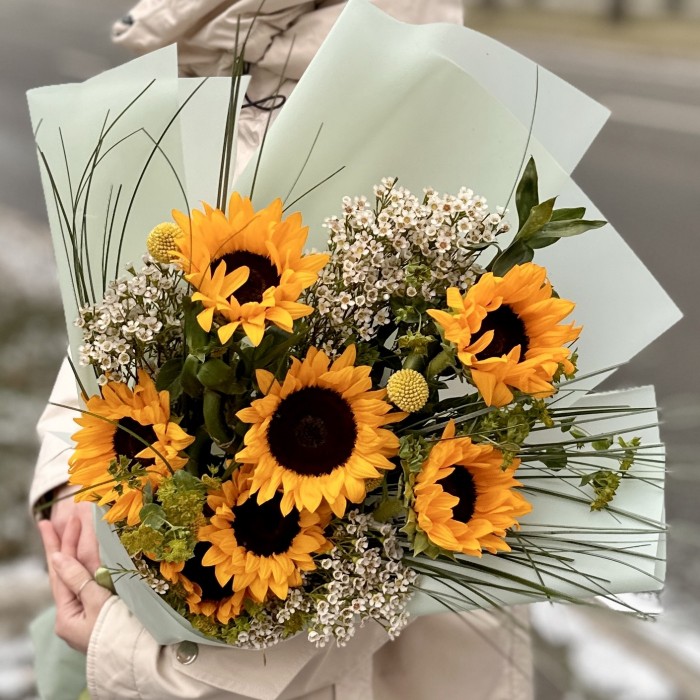 7 подсолнухов с шамелациумом