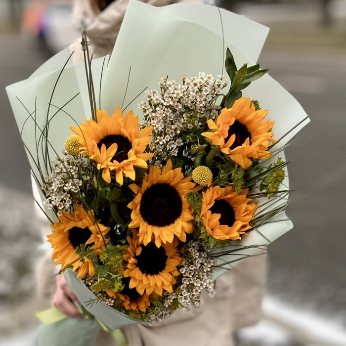 7 подсолнухов с шамелациумом