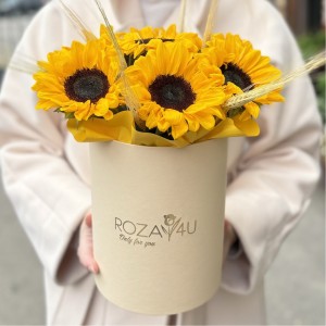 7 подсолнухов в коробке