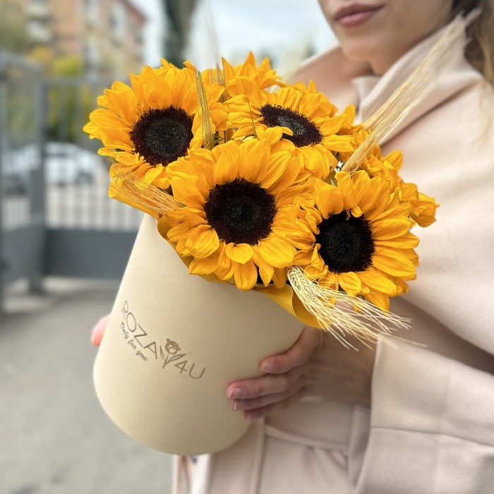 7 подсолнухов в коробке