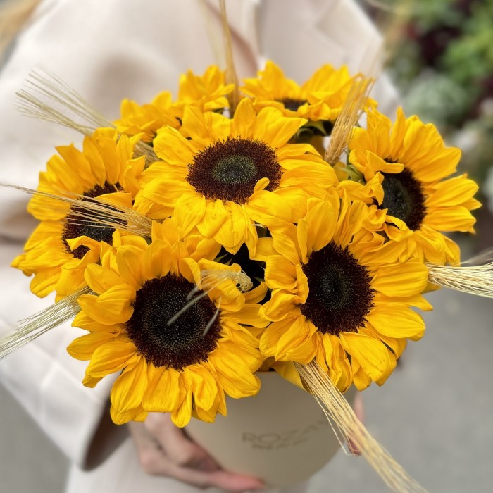 7 подсолнухов в коробке