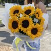 7 подсолнухов в упаковке