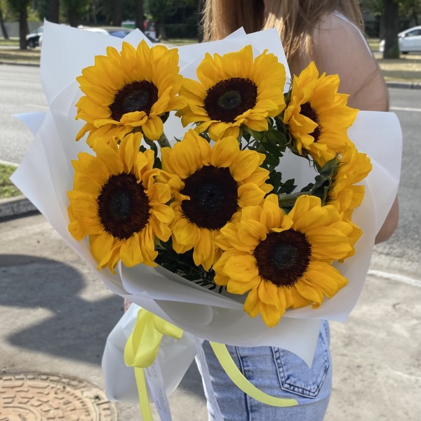 7 подсолнухов в упаковке