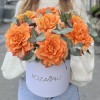 7 пышных роз Фри Спирит с эвкалиптом в коробке