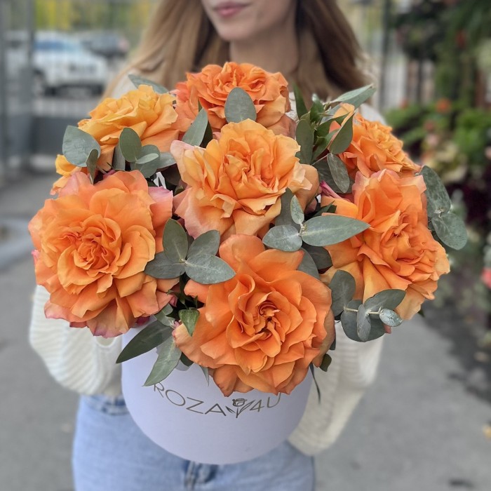 7 пышных роз Фри Спирит с эвкалиптом в коробке