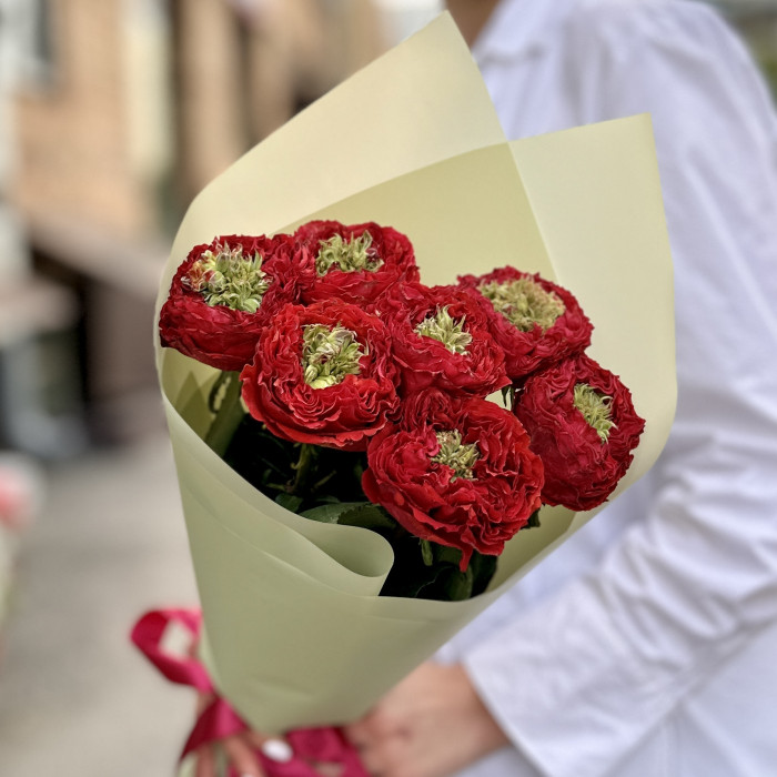 7 роз Ред Монстер 50 см