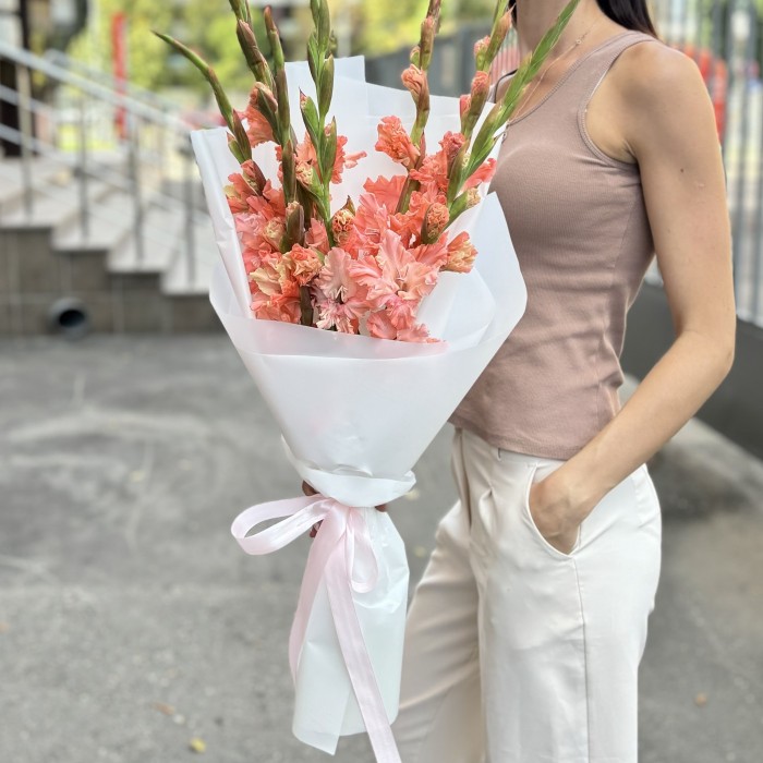 7 розовых гладиолусов