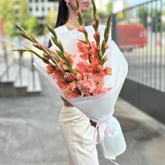 7 розовых гладиолусов