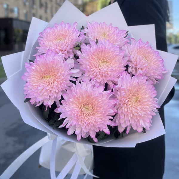 7 розовых хризантем Минка