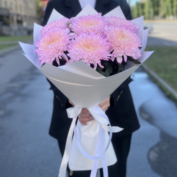 7 розовых хризантем Минка