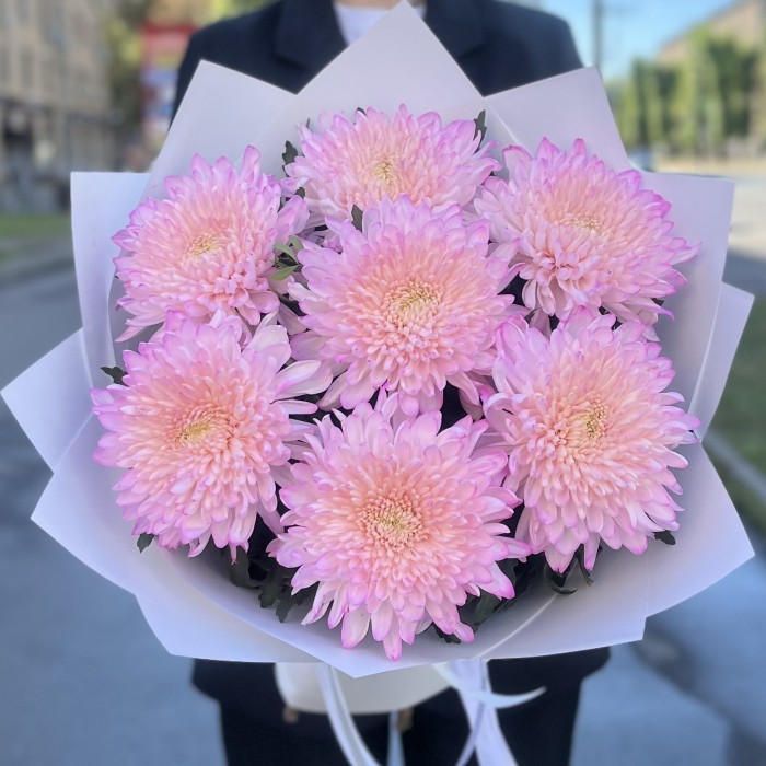 7 розовых хризантем Минка
