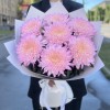 7 розовых хризантем Минка
