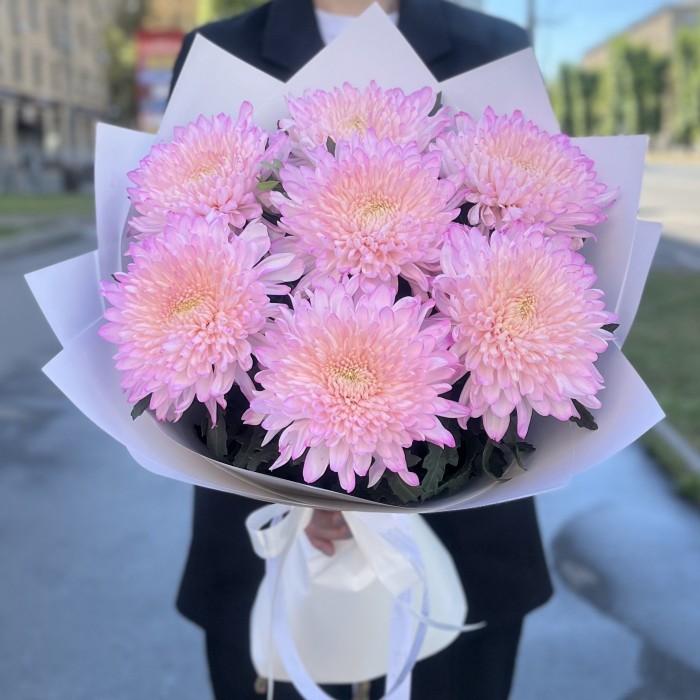 7 розовых хризантем Минка