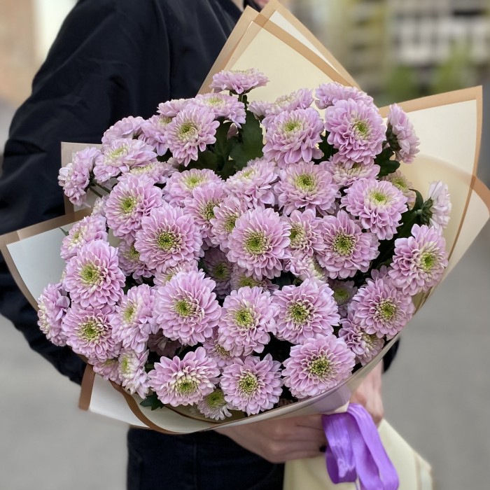 7 розовых кустовых хризантем Романс