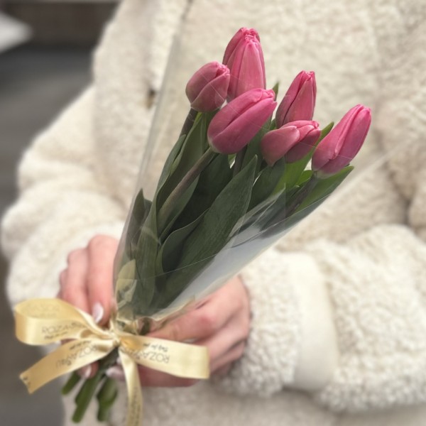 7 розовых тюльпанов Трезор