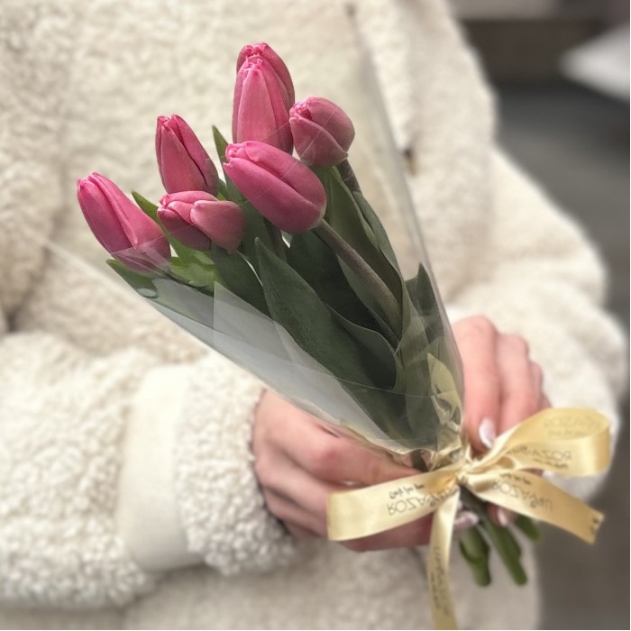 7 розовых тюльпанов Трезор