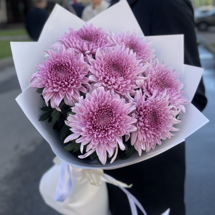 7 сиреневых хризантем