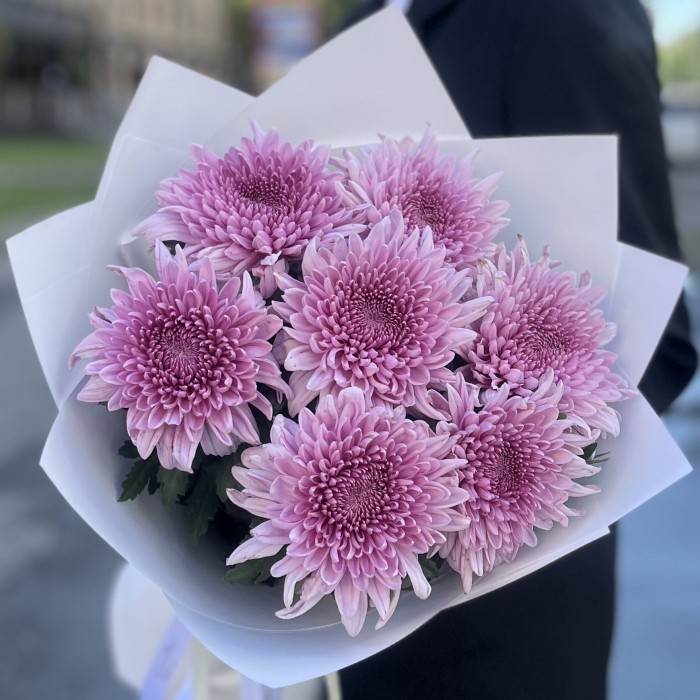 7 сиреневых хризантем