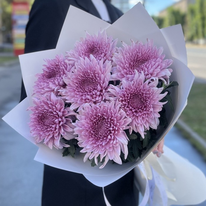 7 сиреневых хризантем