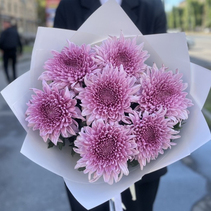 7 сиреневых хризантем