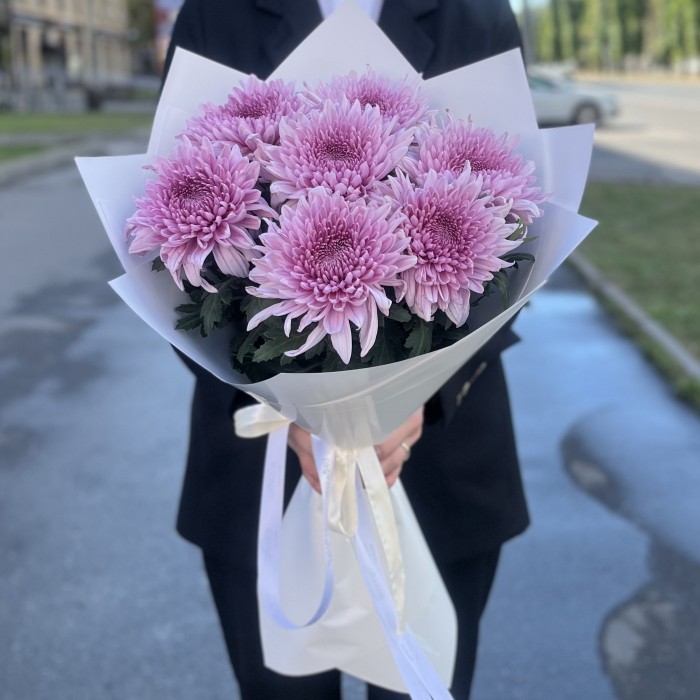 7 сиреневых хризантем