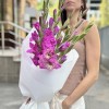 7 фиолетовых гладиолусов