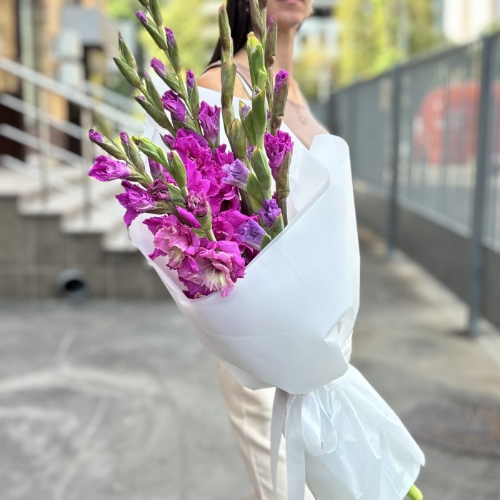 7 фиолетовых гладиолусов