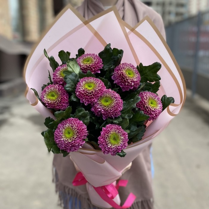 9 темно-розовых хризантем Сувенир