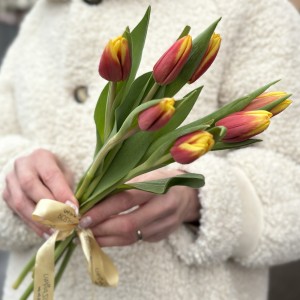 7 красно-желтых тюльпанов Денмарк